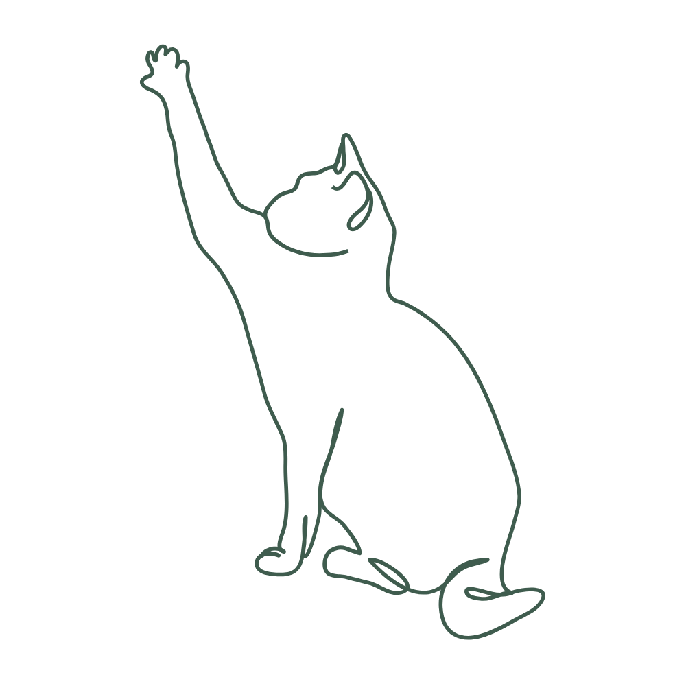 エメラルドグリーンの線で描かれたジャンプする猫の線画イラスト